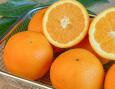 Fengjie Navel Oranges
