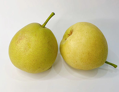 Yulu Fragrant Pears